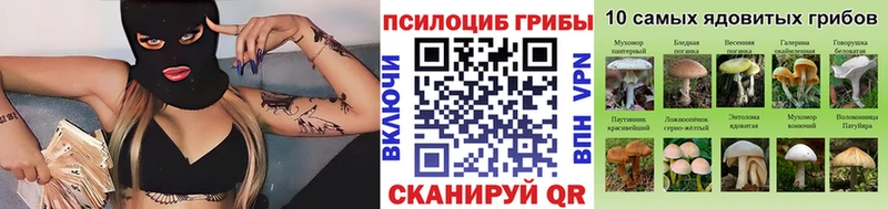 Купить закладки  Певек  Галлюциногенные грибы мухоморы 